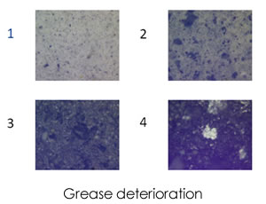 著細鐵和磁性磨損顆粒的增加，回轉軸承的惡化，第四張圖像顯示潤滑脂完全干燥
